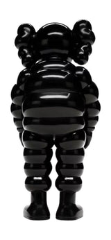 Black Kaws What Party Figure